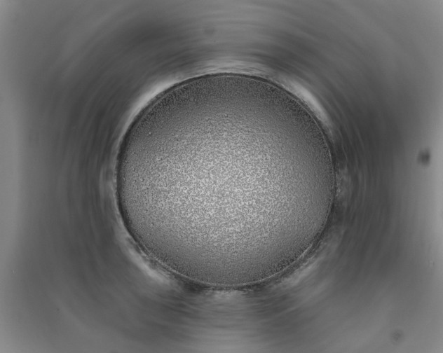 X0000091371043200708171541