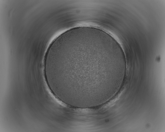 X0000091371045200708171541