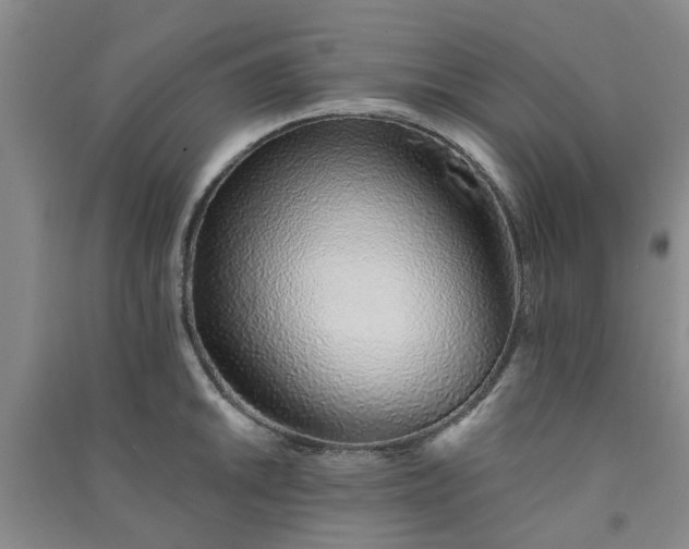 X0000091371046200708171541