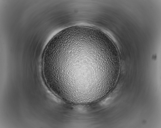 X0000091371048200708171541