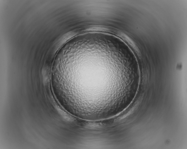 X0000091371049200708171541