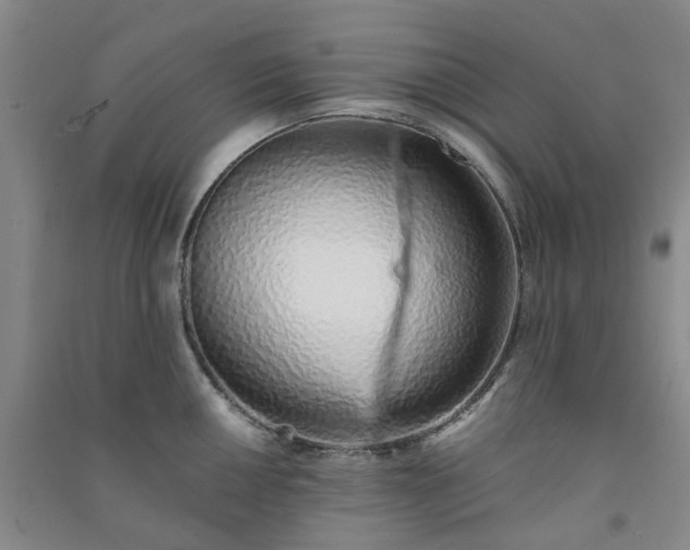 X0000091371050200708171541