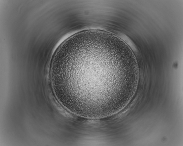 X0000091371052200708171541