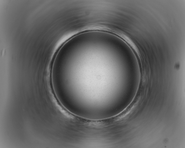 X0000091371053200708171541