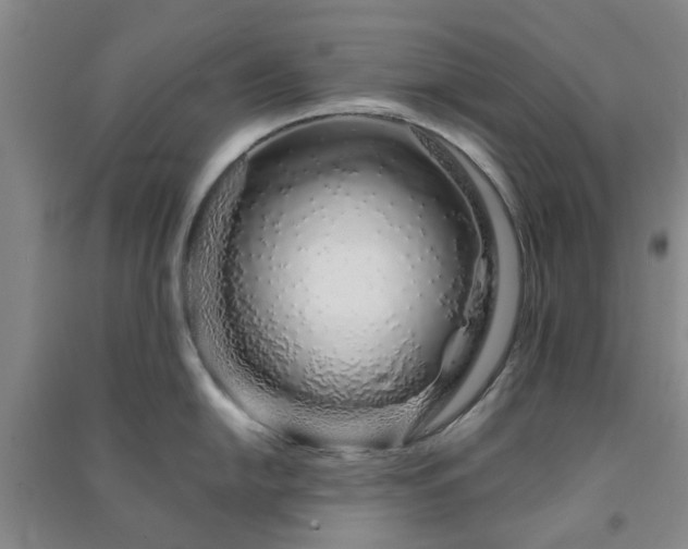 X0000091371054200708171541