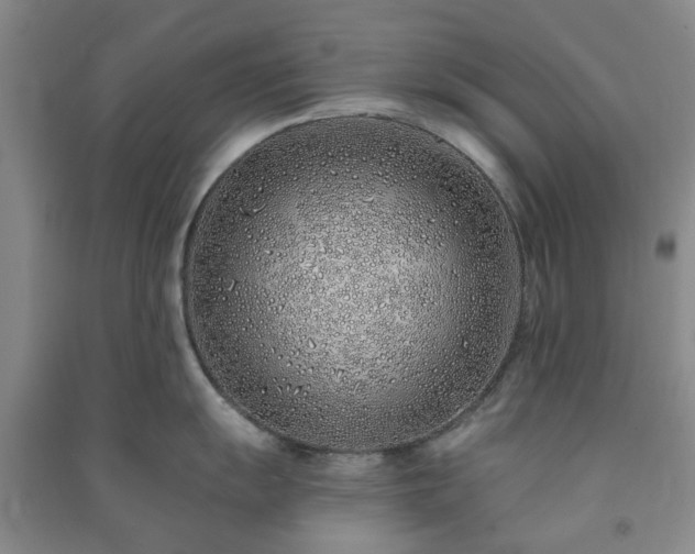 X0000091371055200708171541