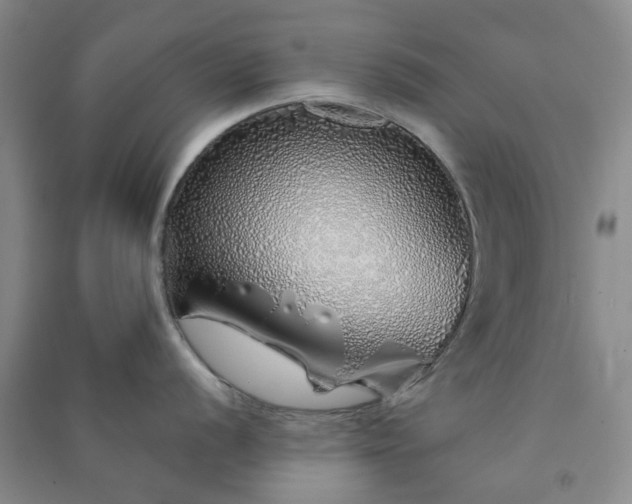 X0000091371056200708171541