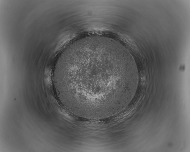 X0000091371060200708171540