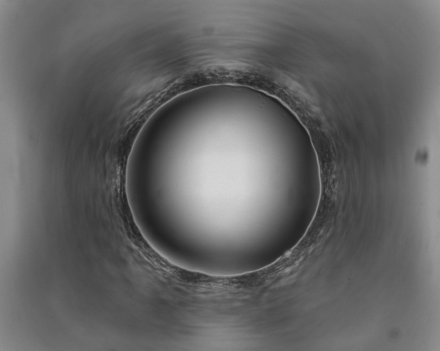 X0000091371061200708171540