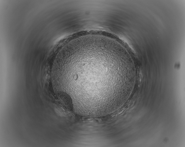 X0000091371063200708171540