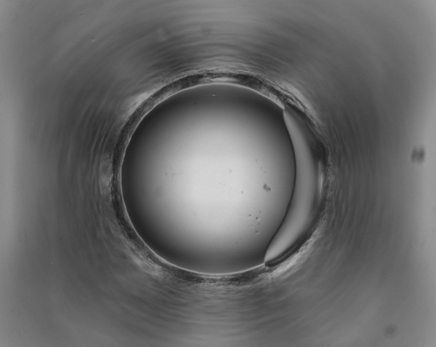 X0000091371065200708171540