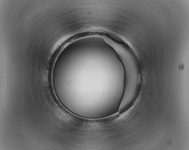 X0000091371066200708171540