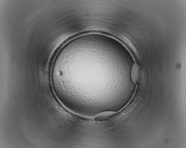 X0000091371068200708171540