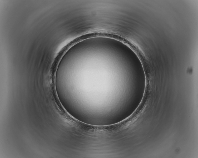 X0000091371070200708171540