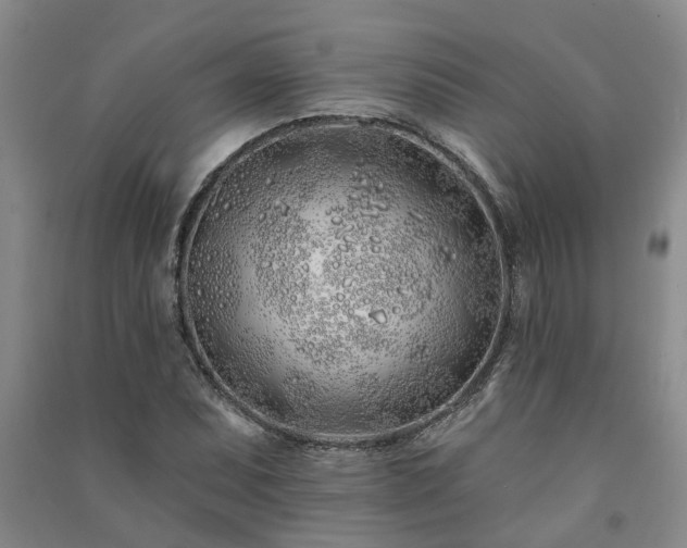 X0000091371071200708171540