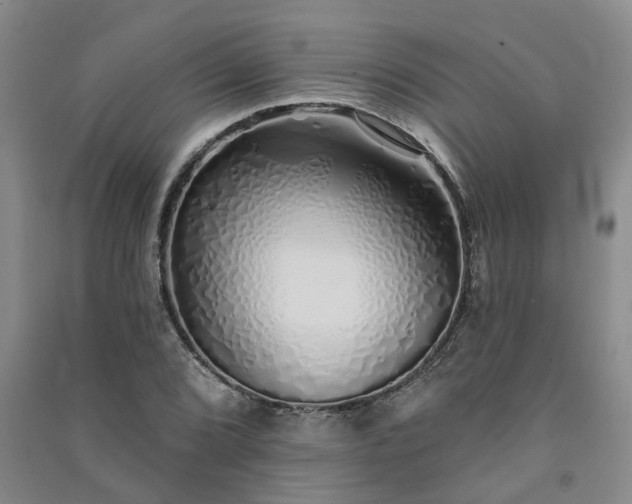 X0000091371072200708171540