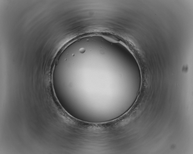 X0000091371073200708171540