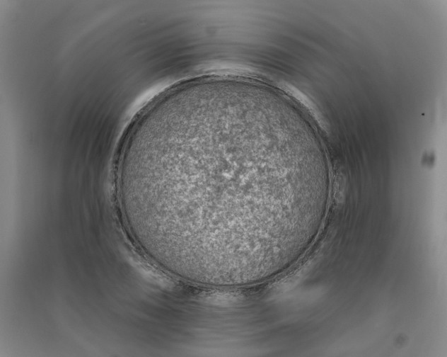 X0000091371074200708171540