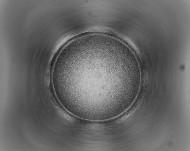 X0000091371075200708171540