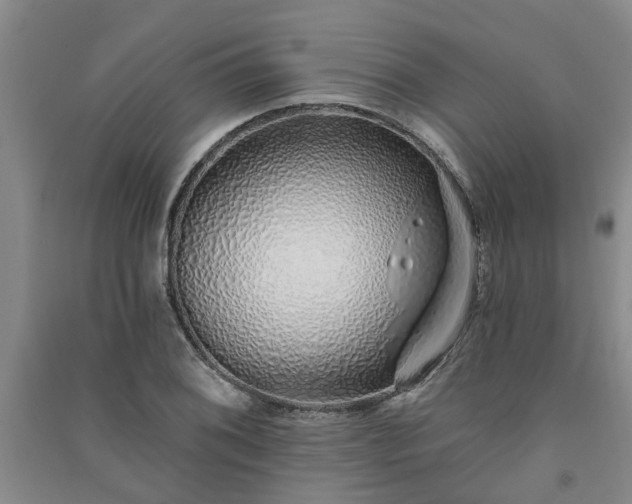 X0000091371076200708171540