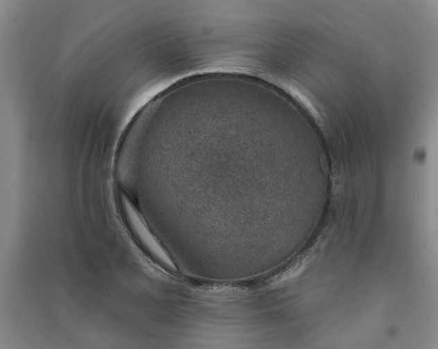 X0000091371077200708171540