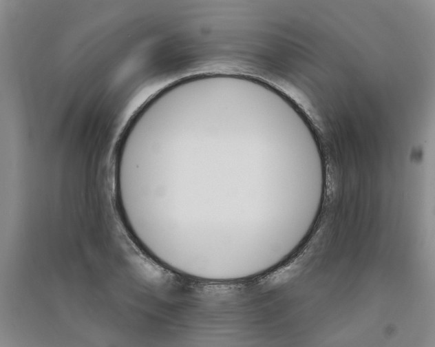 X0000091371078200708171540