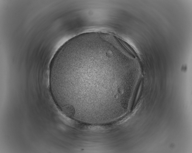 X0000091371079200708171540