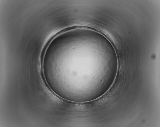 X0000091371080200708171540