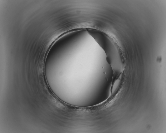 X0000091371081200708171540