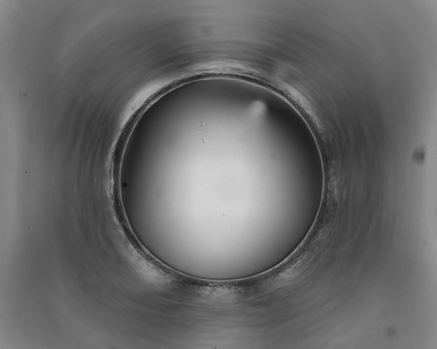 X0000091371082200708171540