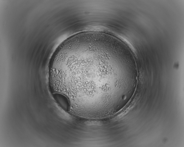 X0000091371083200708171540