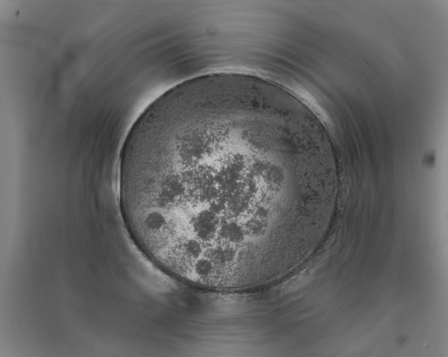 X0000091371084200708171540