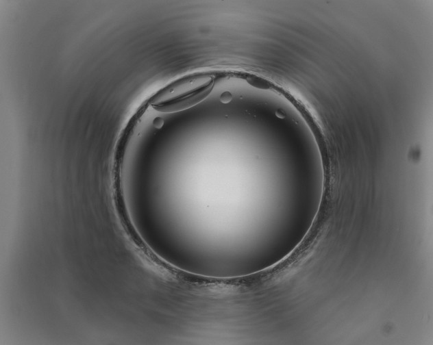 X0000091371085200708171540