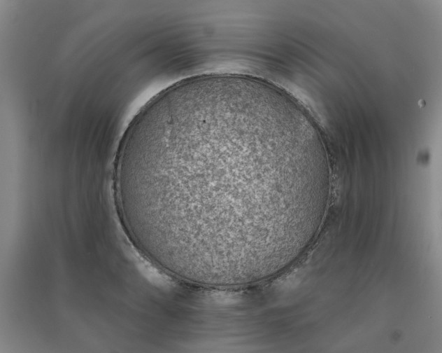 X0000091371086200708171540