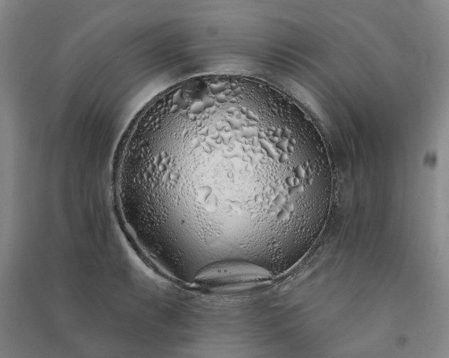 X0000091371087200708171540