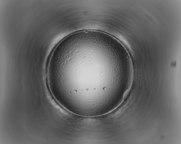 X0000091371088200708171539