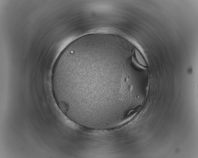 X0000091371091200708171539