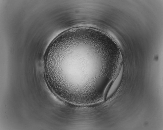 X0000091371092200708171539