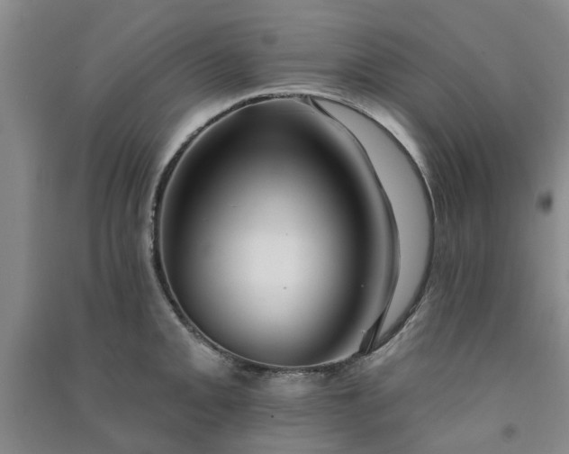 X0000091371093200708171539