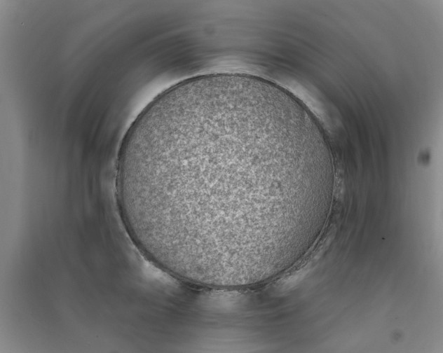 X0000091371094200708171539