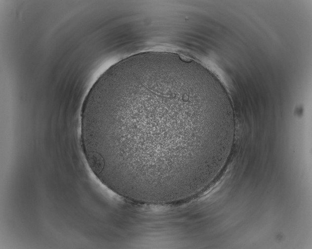 X0000091371095200708171539