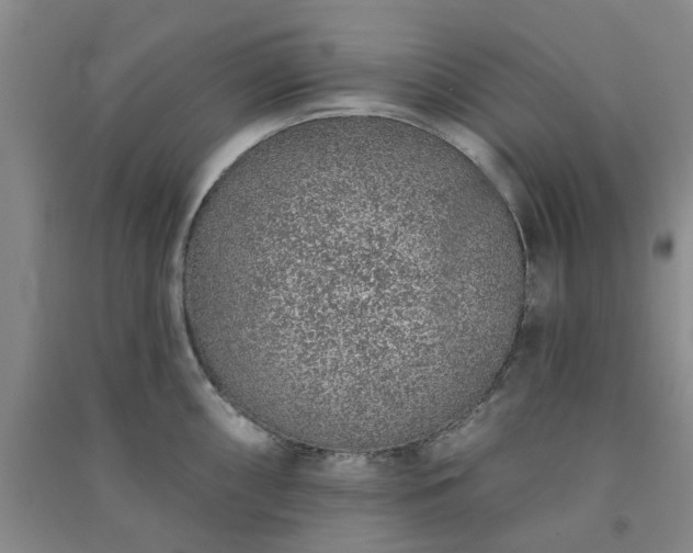 X0000091371098200708171539