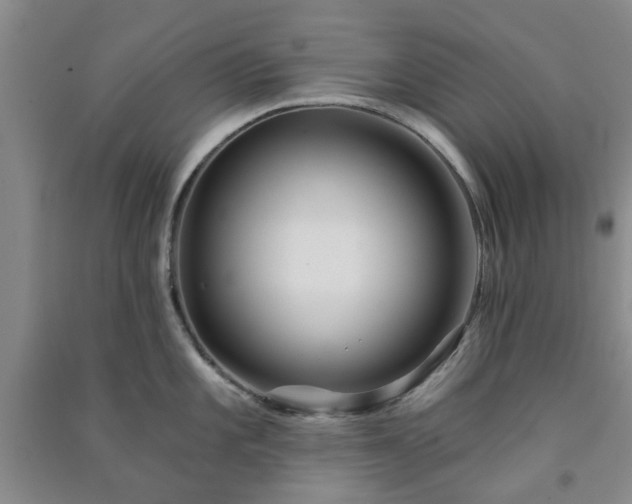 X0000091371101200708171539