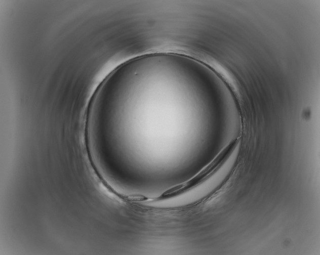 X0000091371102200708171539