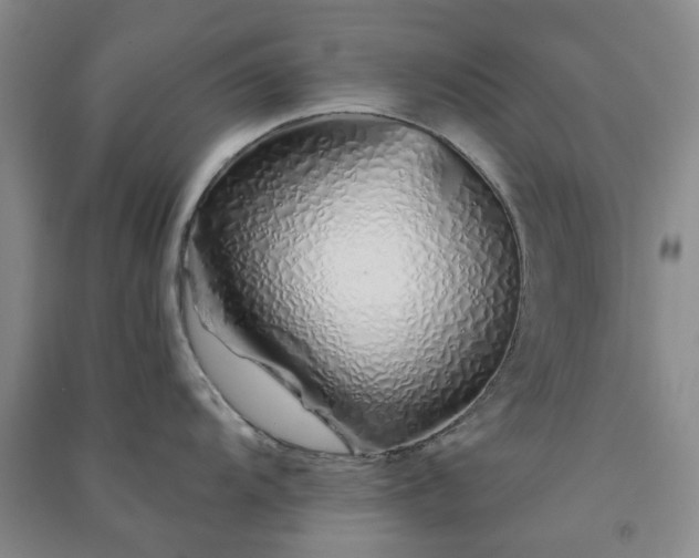 X0000091371104200708171539