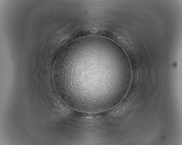 X0000091371105200708171539