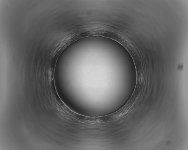 X0000091371108200708171539