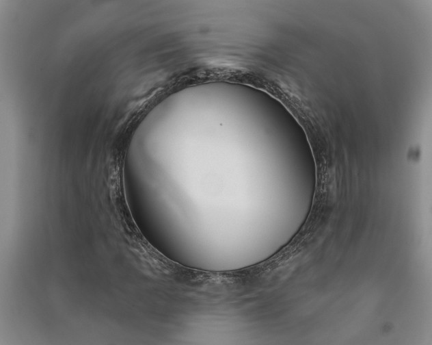 X0000091371109200708171539