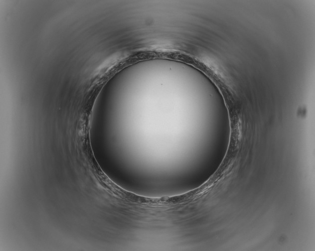 X0000091371110200708171539