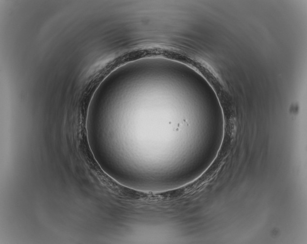 X0000091371111200708171539